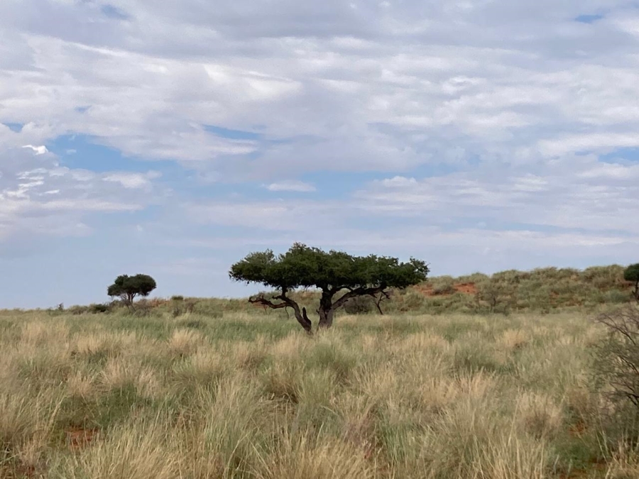 Commercial Property for Sale in Upington Rural Northern Cape